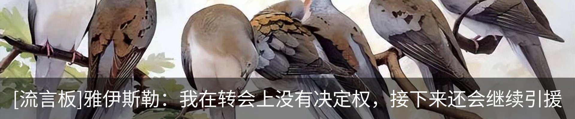 资讯中心